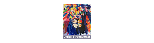 Digital Streetworker HRIA Finalist