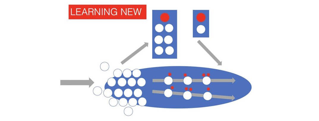 relation to learning of new learning