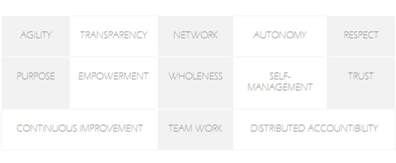 characteristics of movement