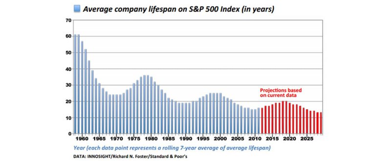Average Company Life Span