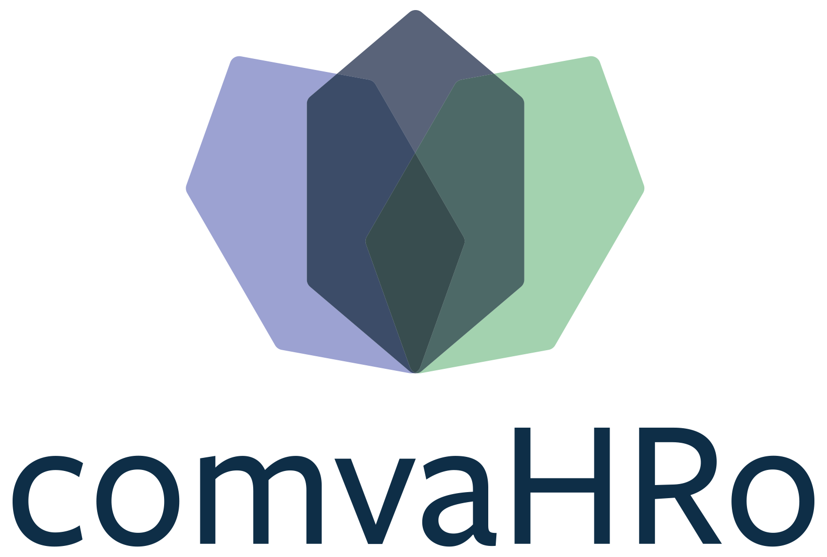 comvaHRo GmbH Logo
