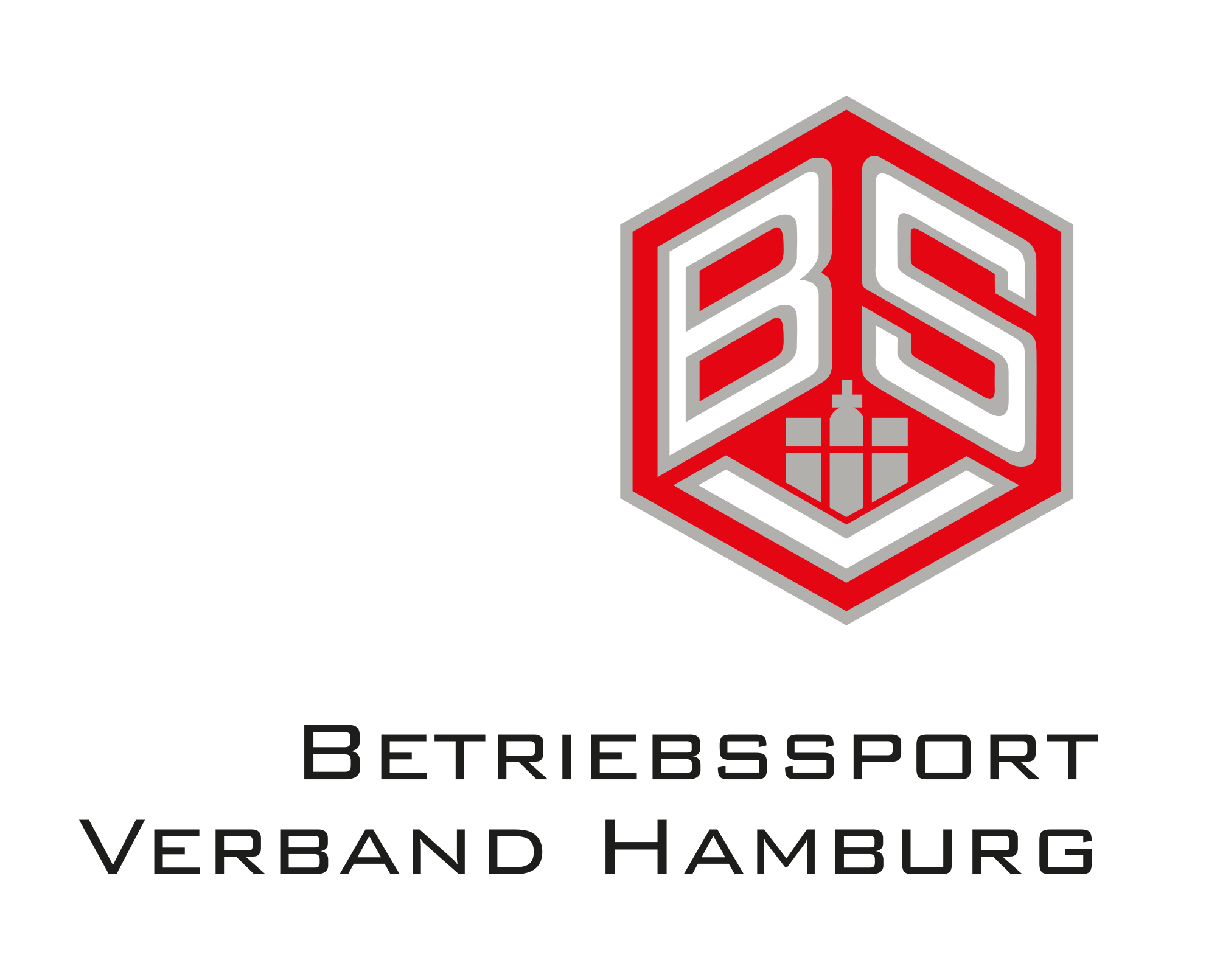 BSV Hamburg Servicegesellschaft Logo
