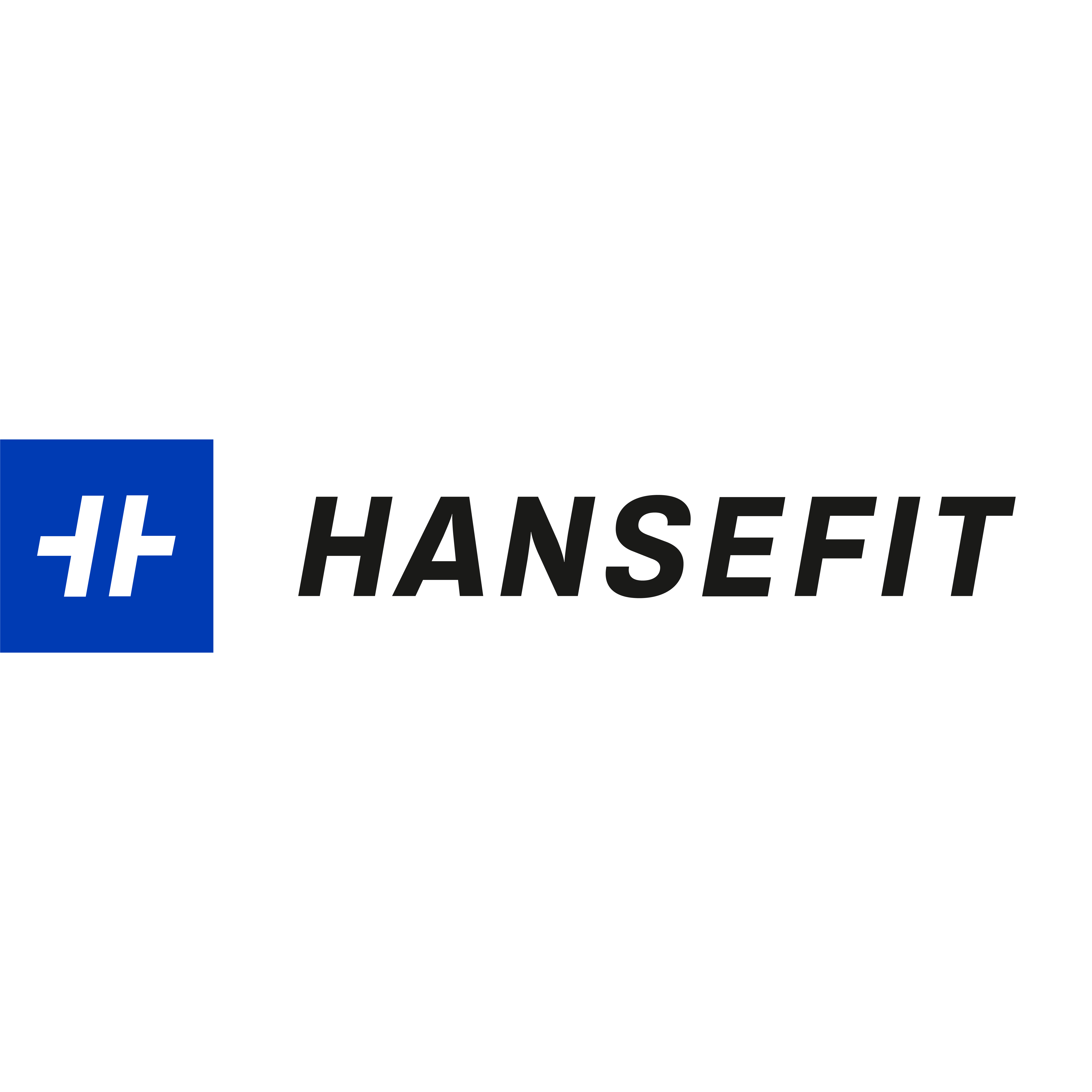 Hansefit GmbH & Co. KG Logo