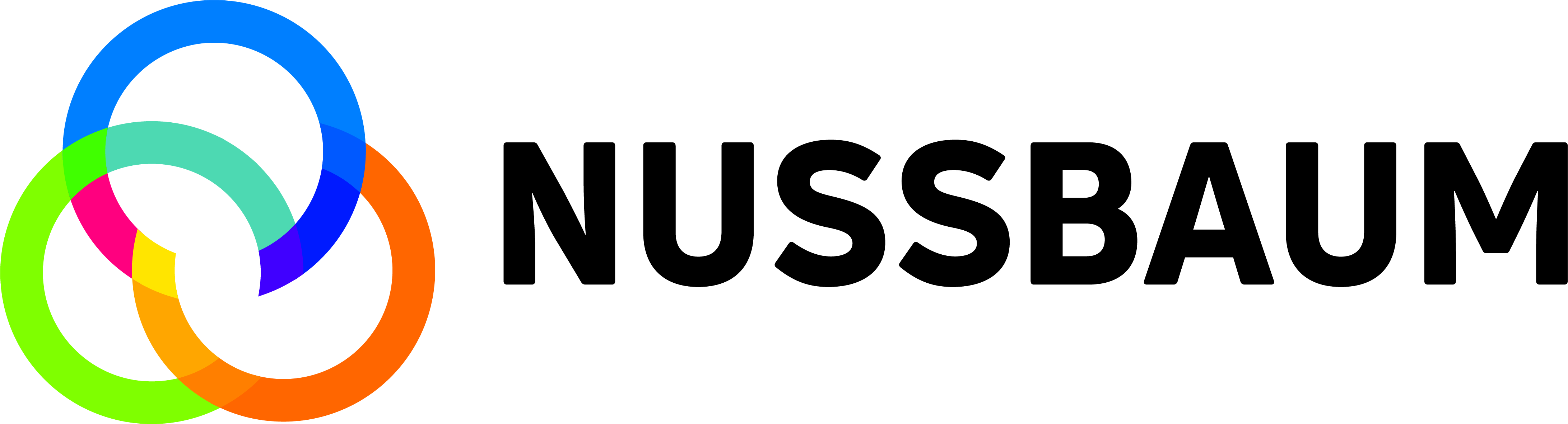 Nussbaum Medien Logo