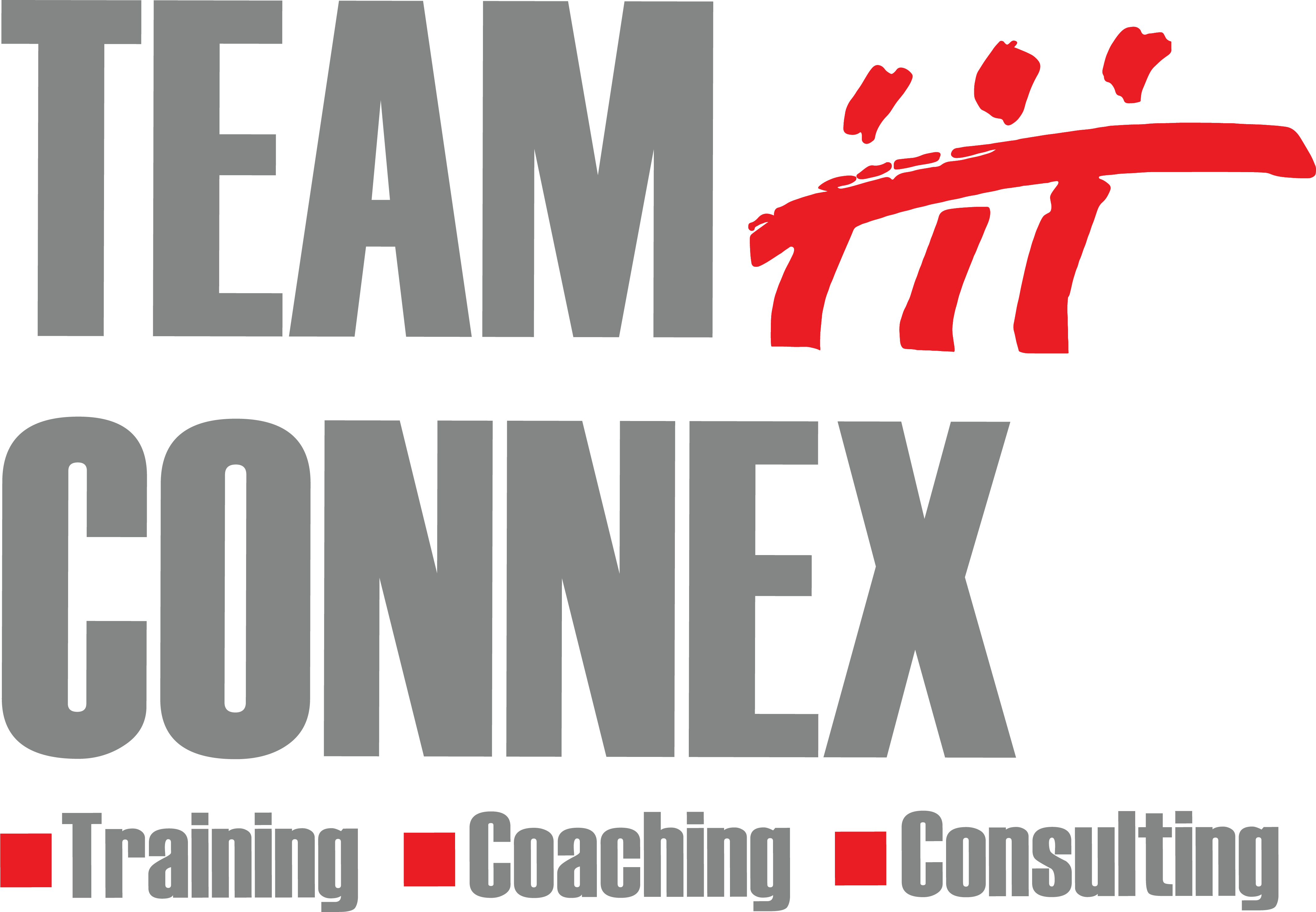 TEAM CONNEX AG Logo