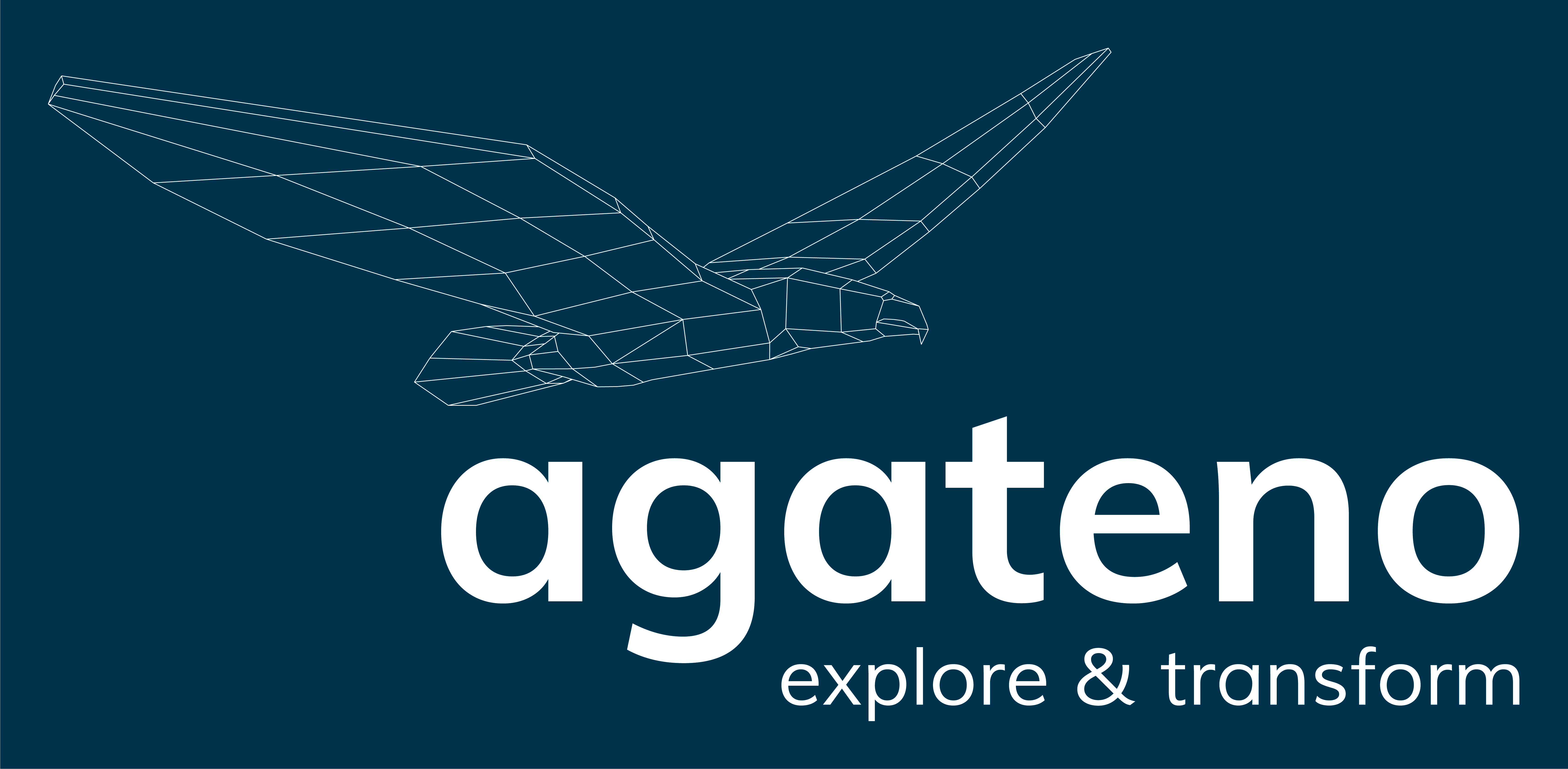 agateno - Organisationsentwicklung Logo