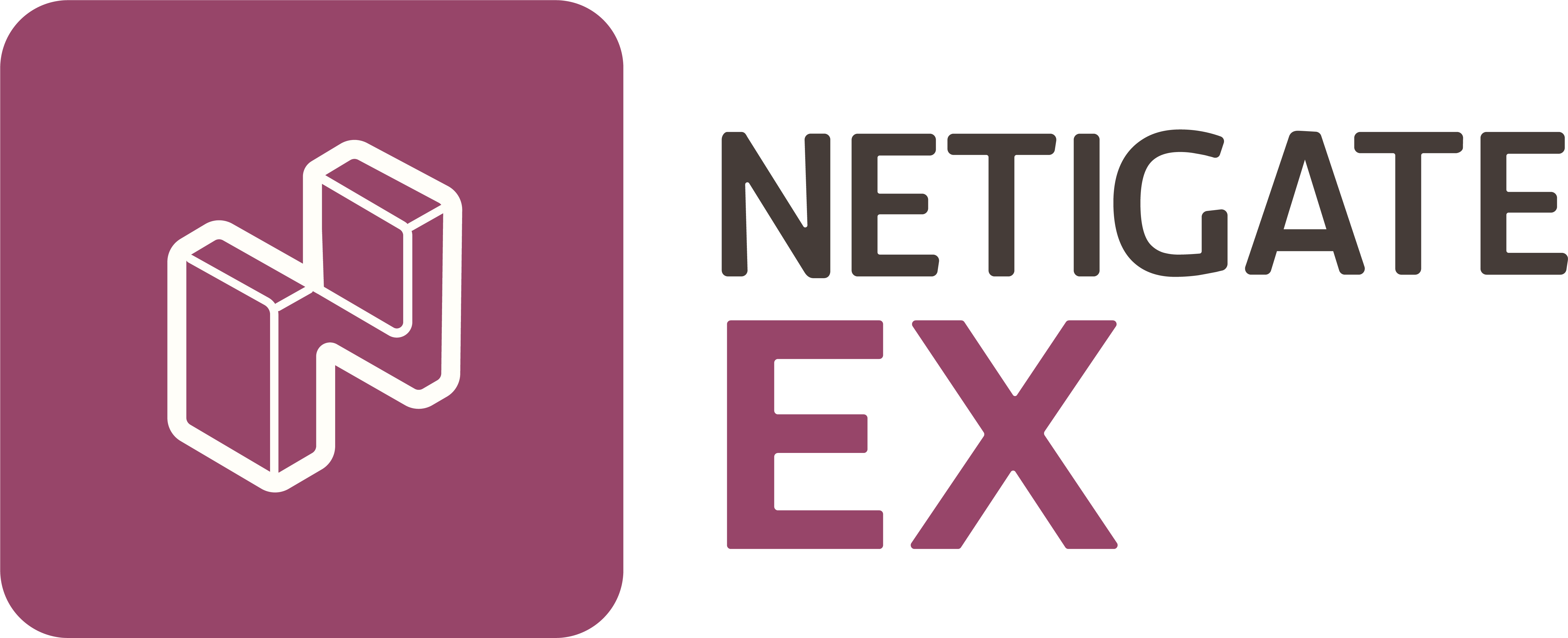 Netigate GmbH Logo