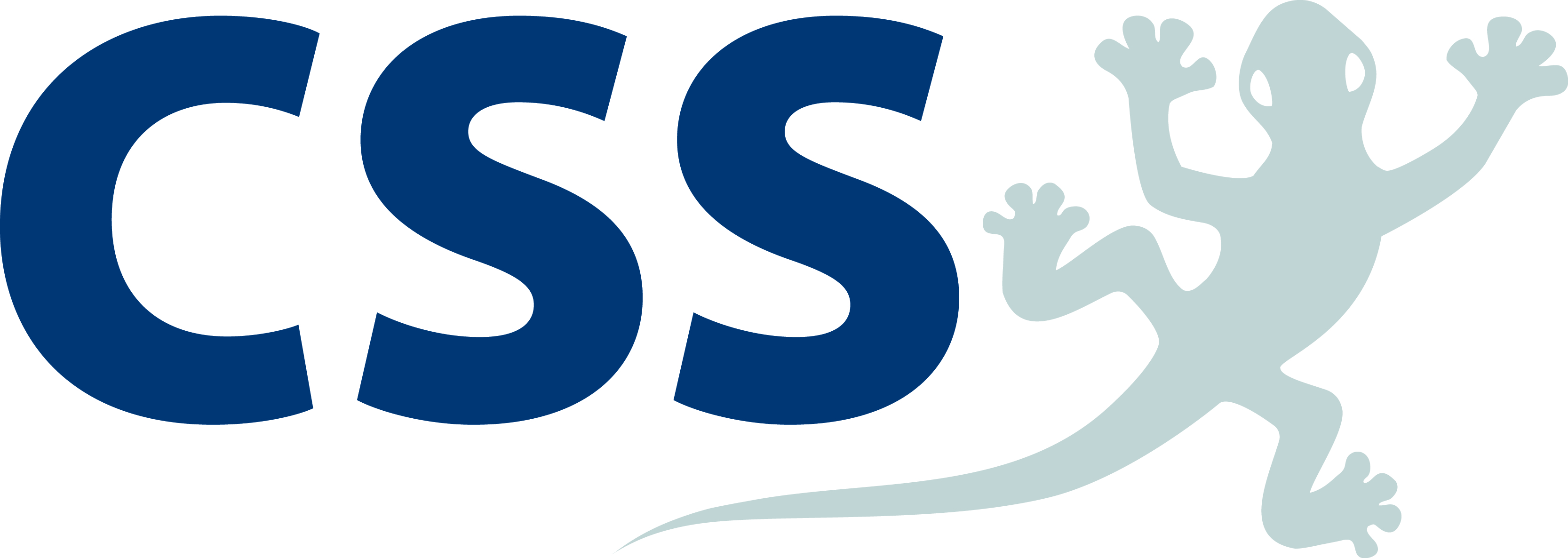 CSS AG Logo