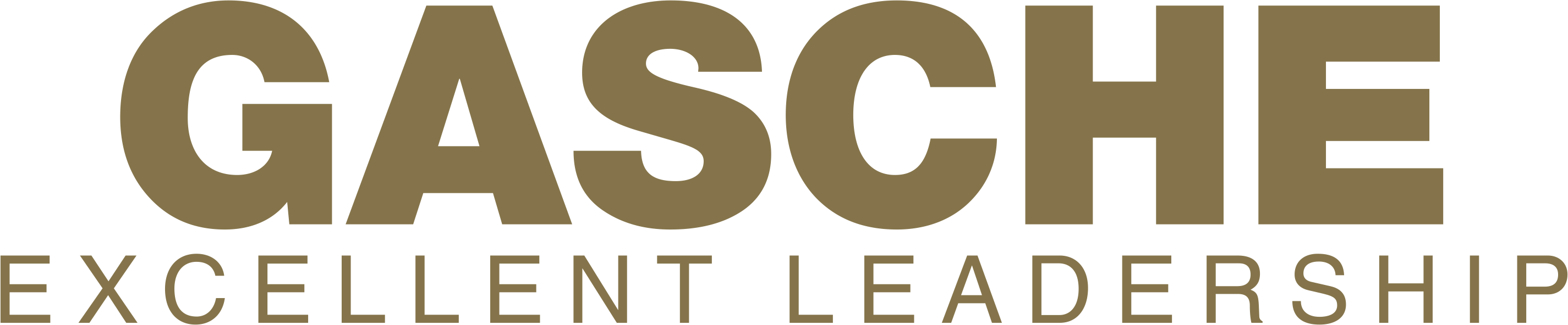 Gasche Excellent Leadership Logo