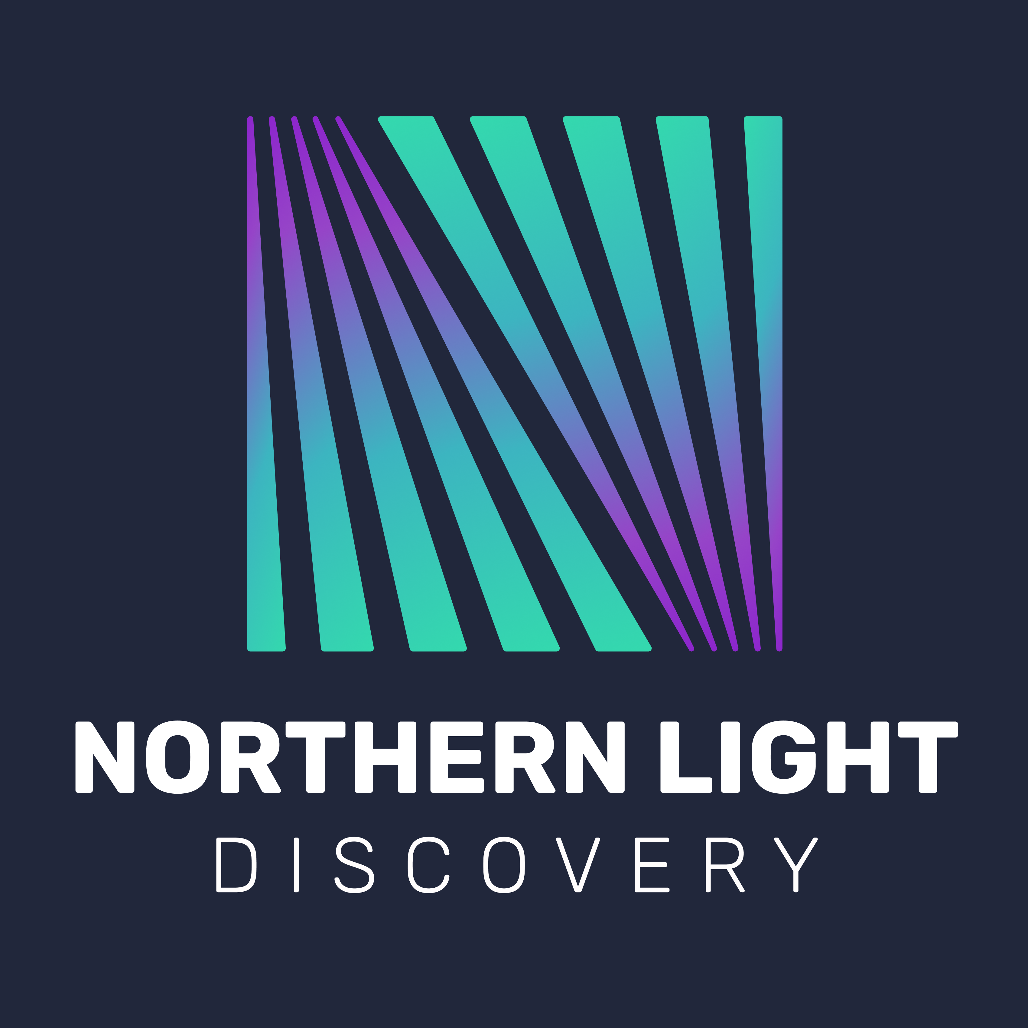 Nothern Light Discovery / Borealis Consulting Logo